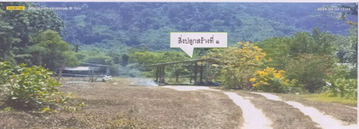 บ้านเดี่ยว ตรัง ปะเหลียน ปะเหลียน 658750
