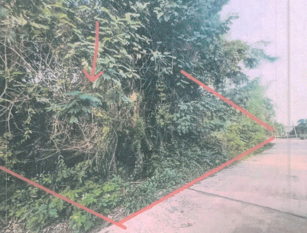 ที่ดินเปล่า ศรีสะเกษ อุทุมพรพิสัย โพธิ์ชัย 119200