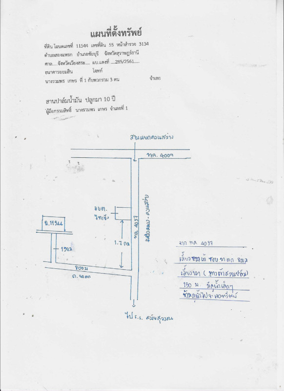 ที่ดินเปล่า สุราษฎร์ธานี ชัยบุรี สองแพรก 890316