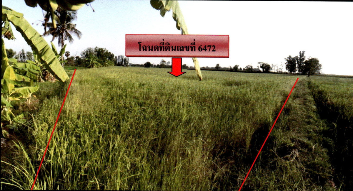 ที่ดินเปล่า อุตรดิตถ์ พิชัย ไร่อ้อย 601400