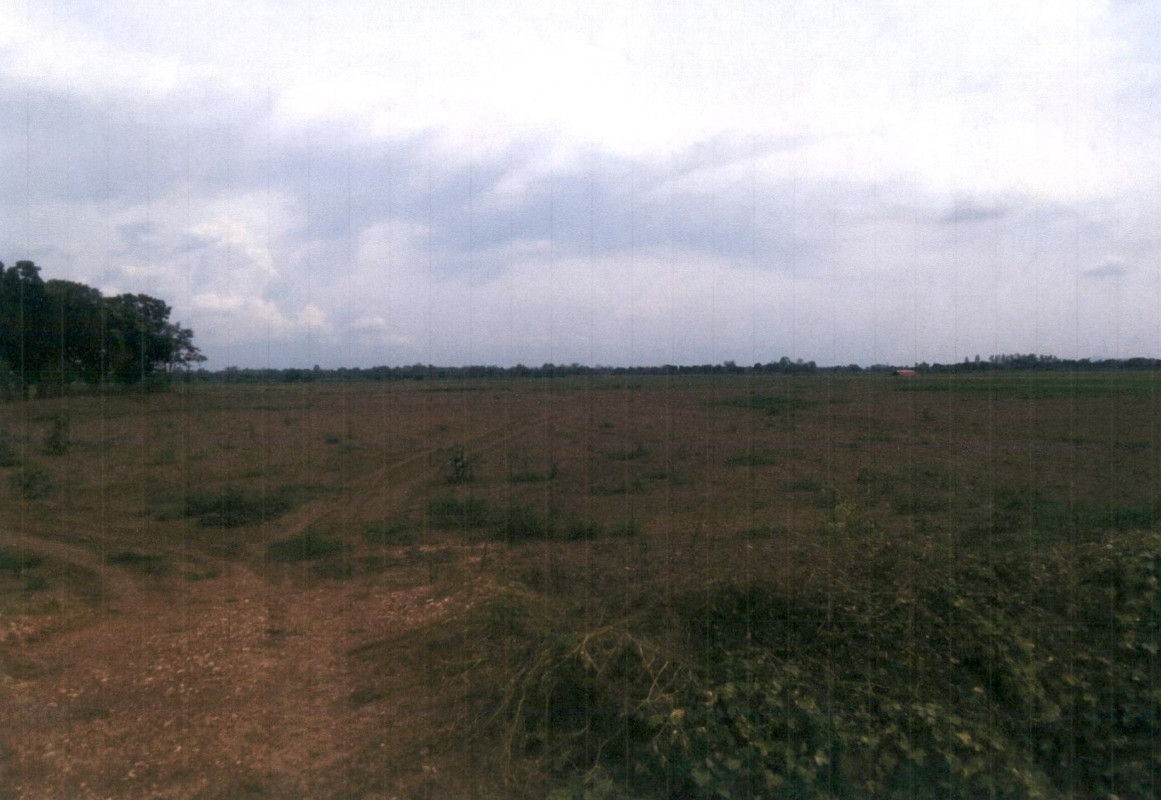 ที่ดินเปล่า เพชรบูรณ์ หนองไผ่ ท่าแดง 1310000