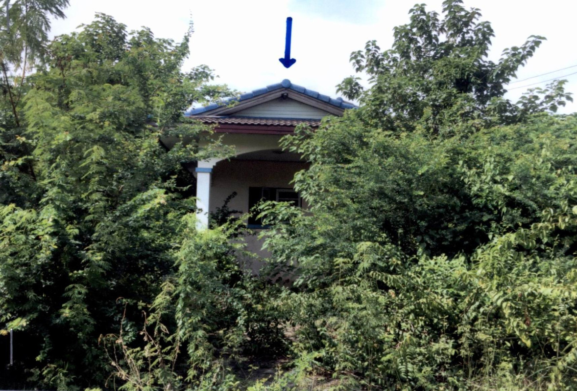 บ้านเดี่ยว ลพบุรี พัฒนานิคม พัฒนานิคม 411900