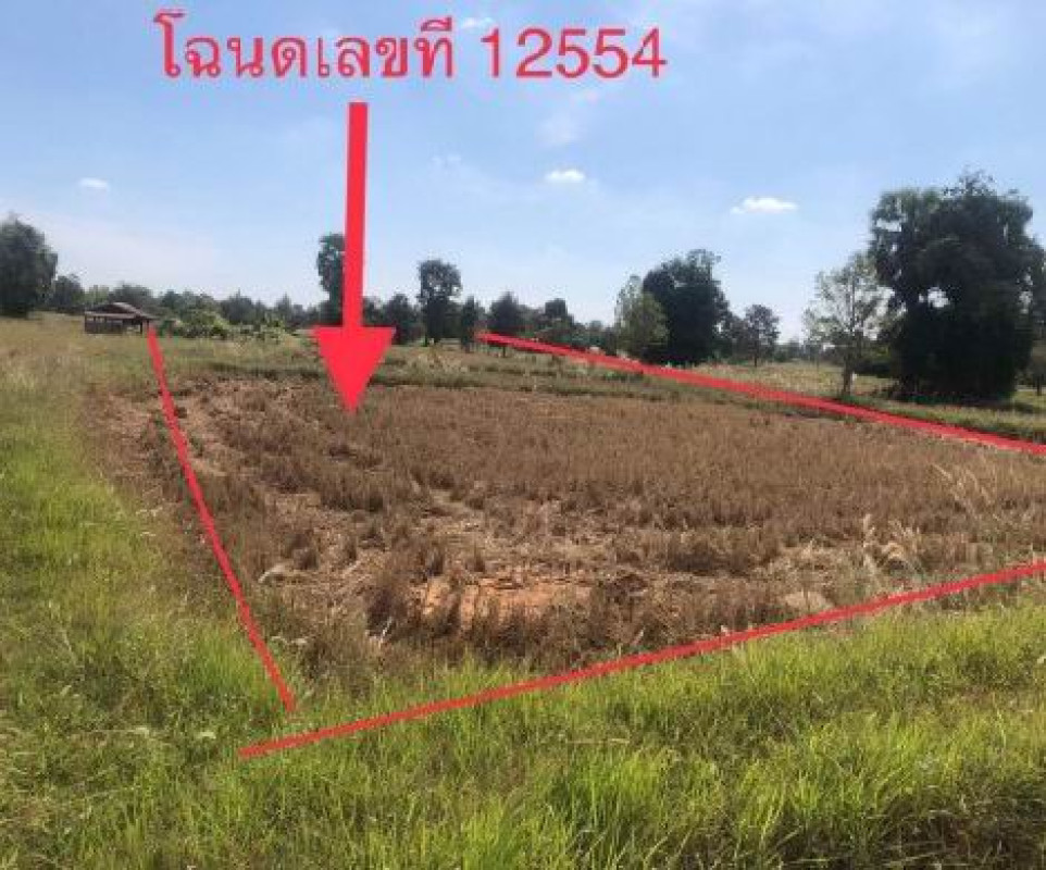 ที่ดินเปล่า ขอนแก่น เมืองขอนแก่น บ้านทุ่ม 2345550