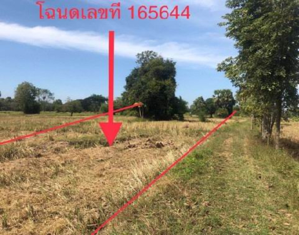 ที่ดินเปล่า ขอนแก่น เมืองขอนแก่น บ้านทุ่ม 800000