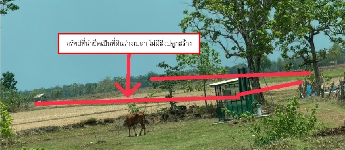 ที่ดินเปล่า สกลนคร กุสุมาลย์ นาเพียง 284300