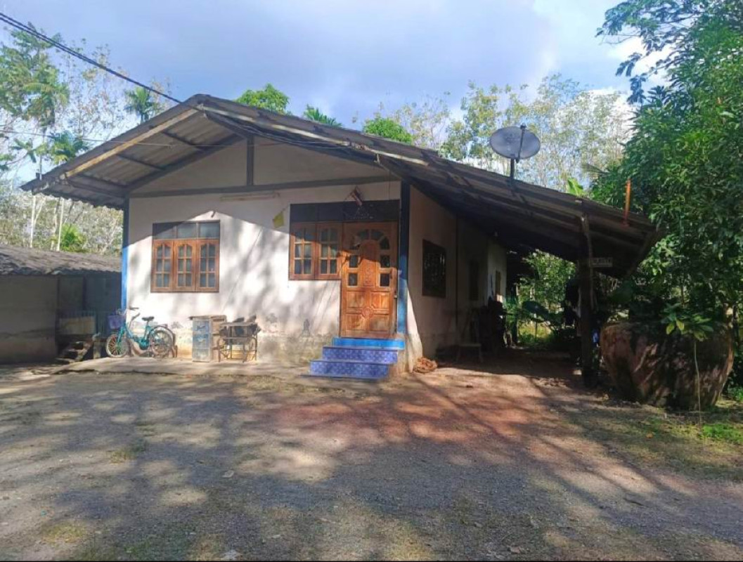 Single house Nakhon Si Thammarat Thung Song Thi Wang 933051