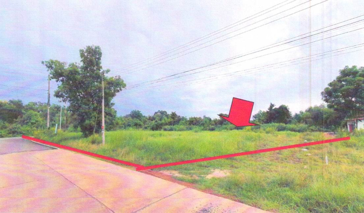 ที่ดินเปล่า ปราจีนบุรี เมืองปราจีนบุรี ดงขี้เหล็ก 317625