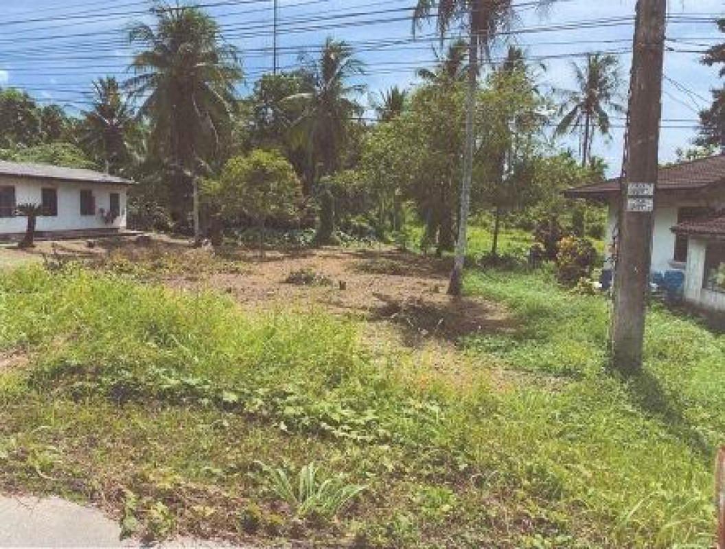 ที่ดินเปล่า ตรัง กันตัง บางหมาก 637200