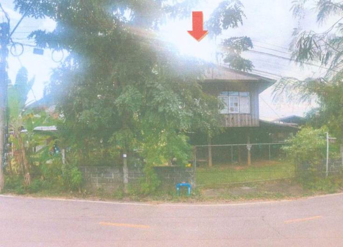 บ้านเดี่ยว ร้อยเอ็ด จตุรพักตรพิมาน หนองผือ 509240