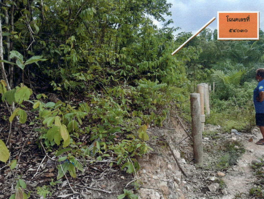 ที่ดินเปล่า ยะลา เมืองยะลา สะเตงนอก 848900