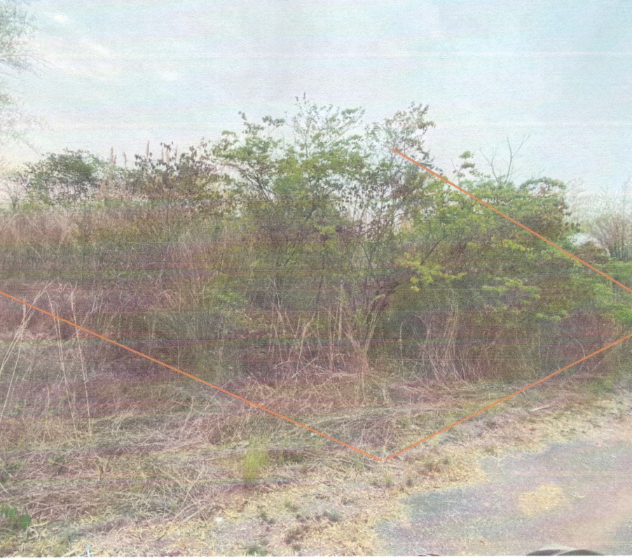 ที่ดินเปล่า เลย หนองหิน หนองหิน 304980