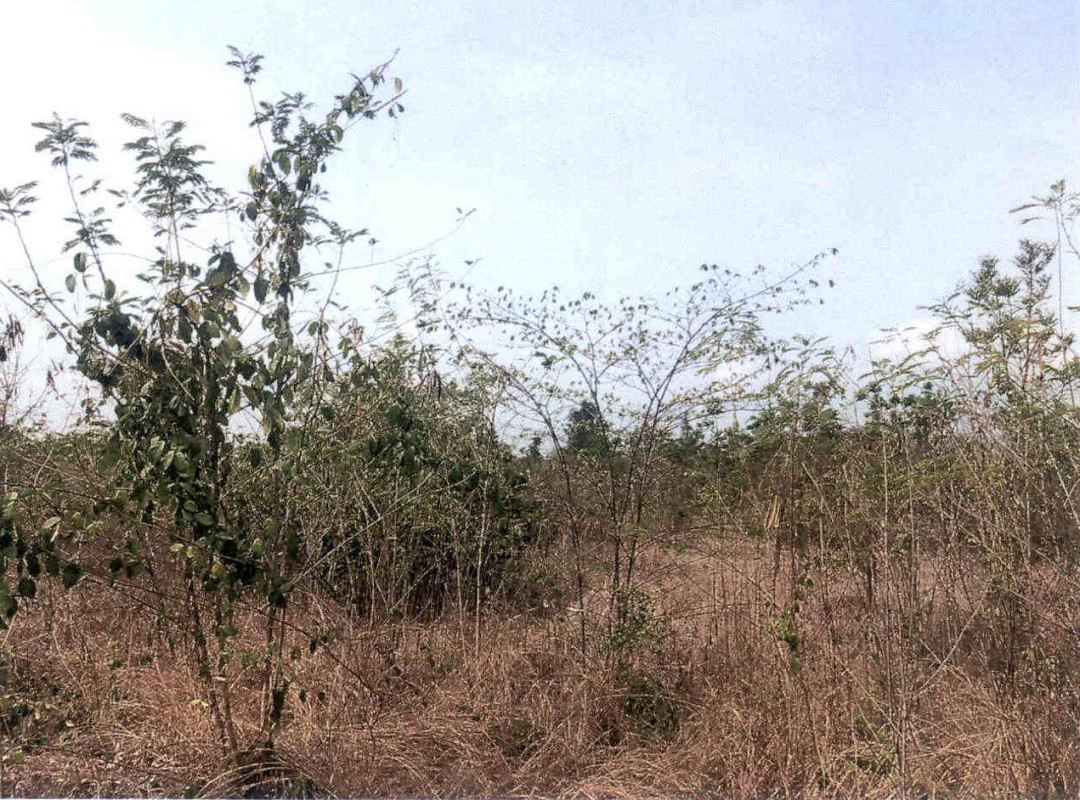 ที่ดินเปล่า ลำพูน บ้านโฮ่ง หนองปลาสะวาย 663300