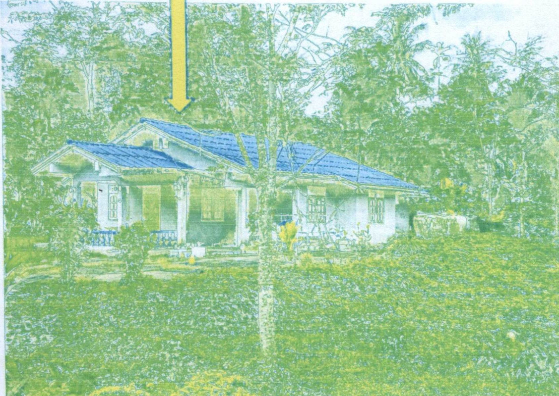 บ้านเดี่ยว นครศรีธรรมราช ทุ่งสง เขาขาว 594370