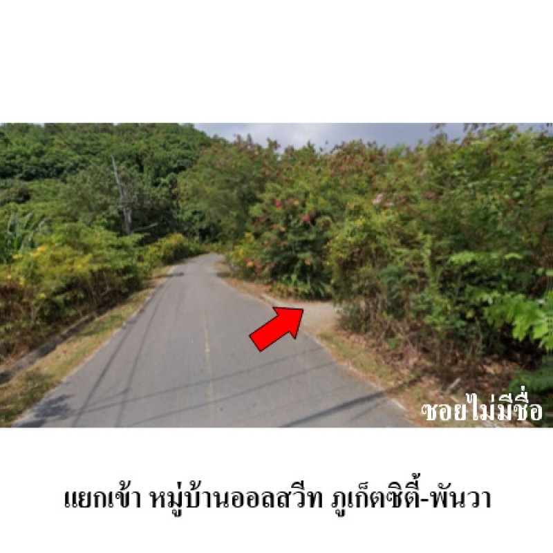 บ้านเดี่ยว ออลสวีท ภูเก็ตซิตี้-พันวา ภูเก็ต เมืองภูเก็ต วิชิต 4714000