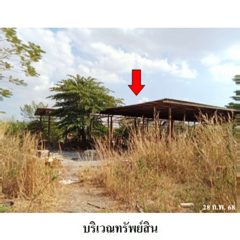 บ้านเดี่ยว กาฬสินธุ์ สมเด็จ หนองแวง 4644800