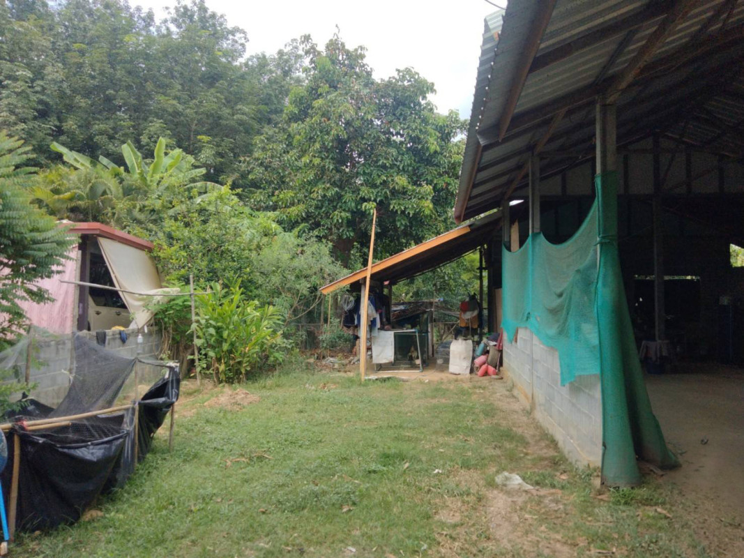 บ้านเดี่ยว อุดรธานี กุดจับ เมืองเพีย 597600