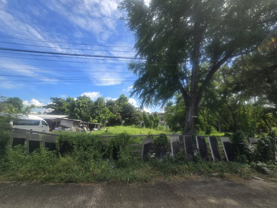 Residential land/lot Nonthaburi Pak Kret Ban Mai 17615500