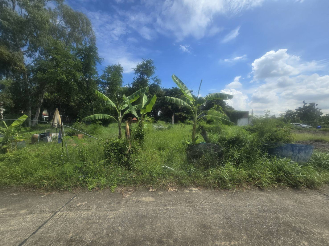 Residential land/lot Nonthaburi Pak Kret Ban Mai 17615500