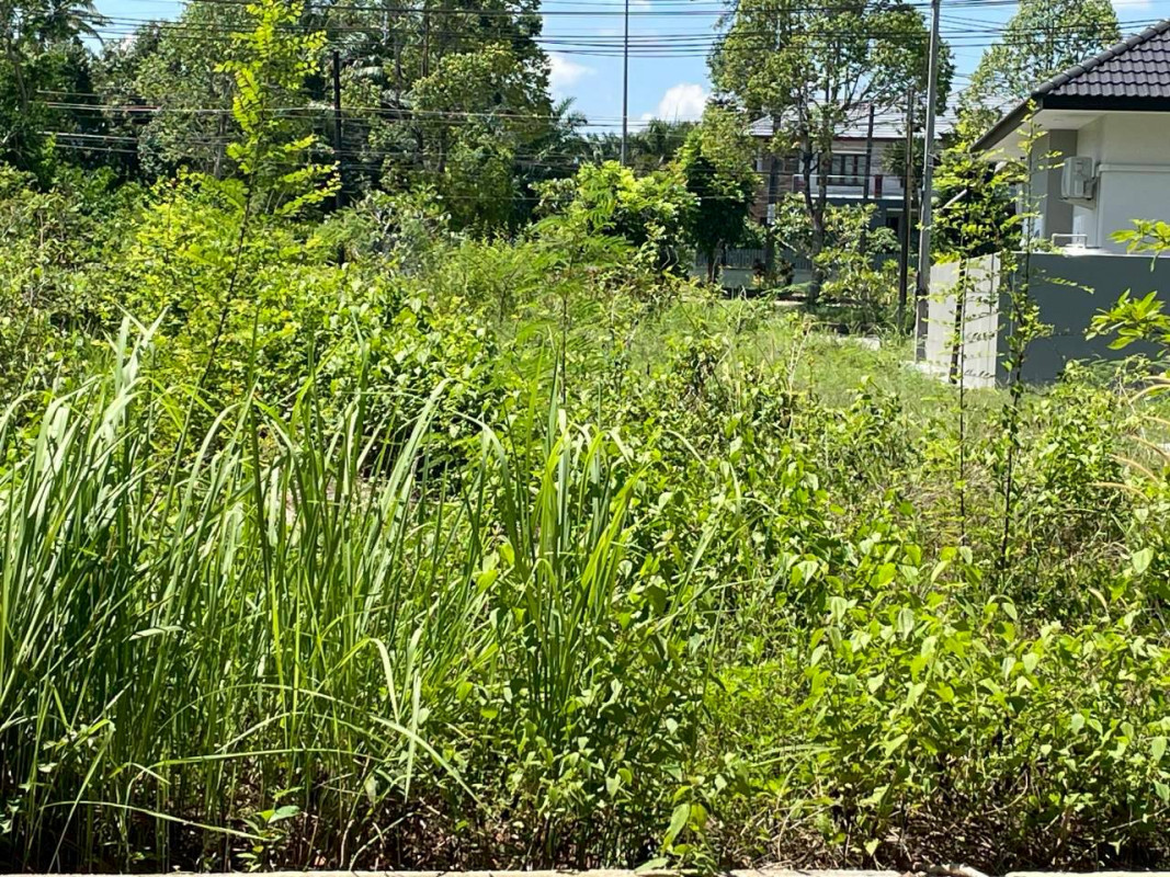Residential land/lot Trang Mueang Trang Khuan Pring 3800000