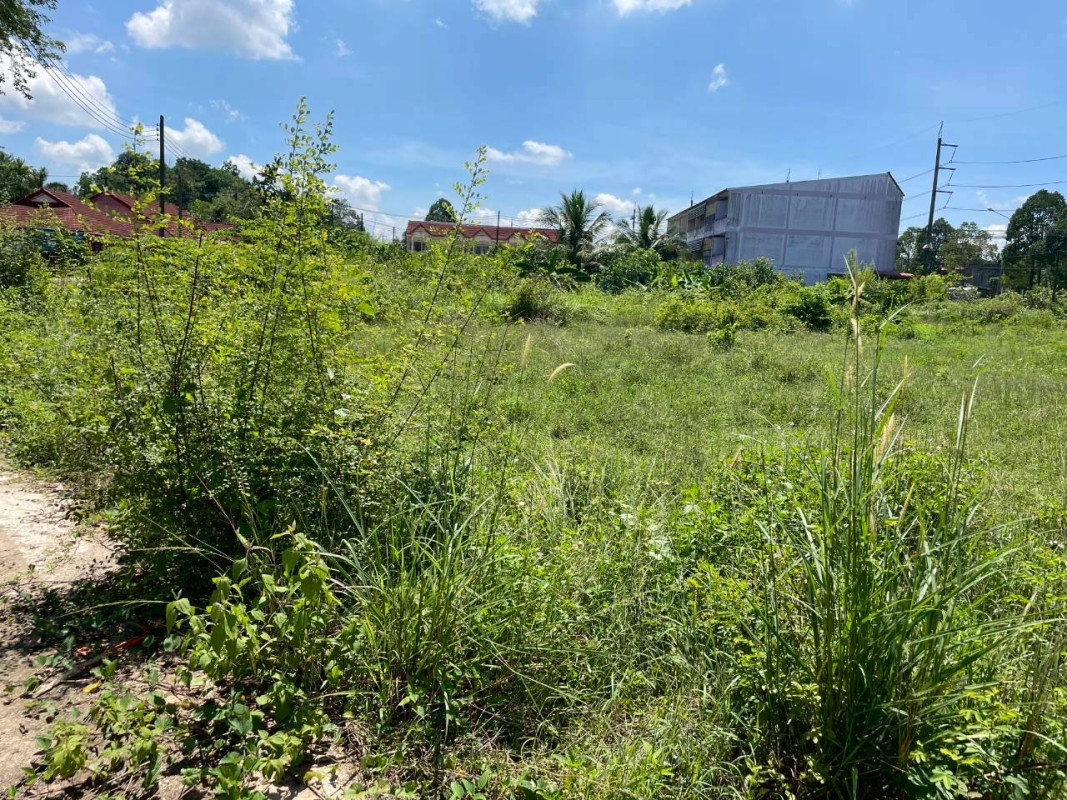 Residential land/lot Trang Mueang Trang Khuan Pring 3800000