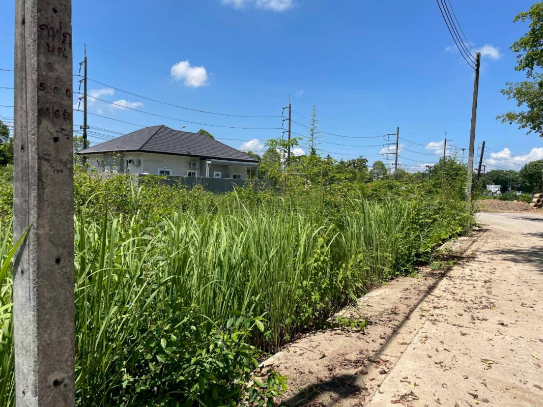 Residential land/lot Trang Mueang Trang Khuan Pring 3800000