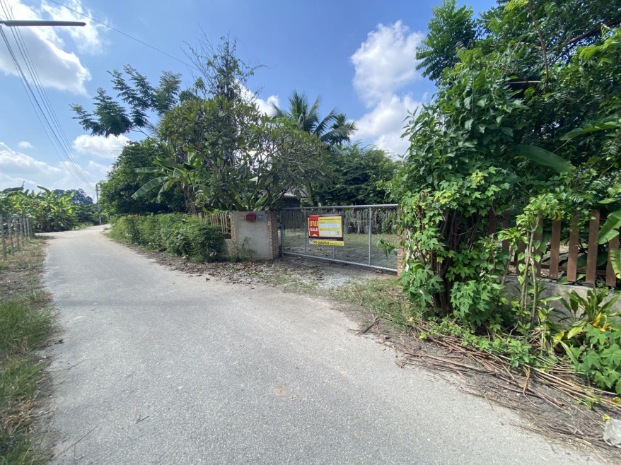 บ้านเดี่ยว เชียงใหม่ แม่วาง ทุ่งปี้ 1550000