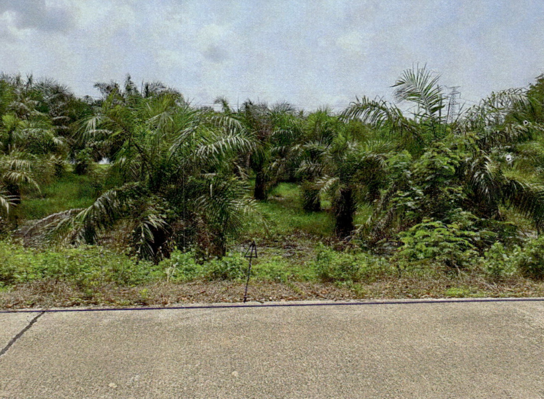 ที่ดินเปล่า สุราษฎร์ธานี บ้านนาเดิม บ้านนา 911200