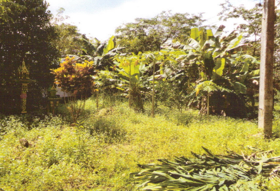 ที่ดินเปล่า พัทลุง ตะโหมด คลองใหญ่ 51000