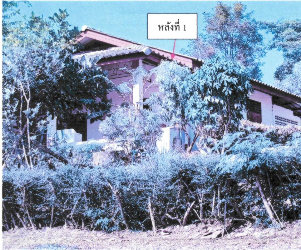 บ้านเดี่ยว เชียงราย เทิง หงาว 1034150