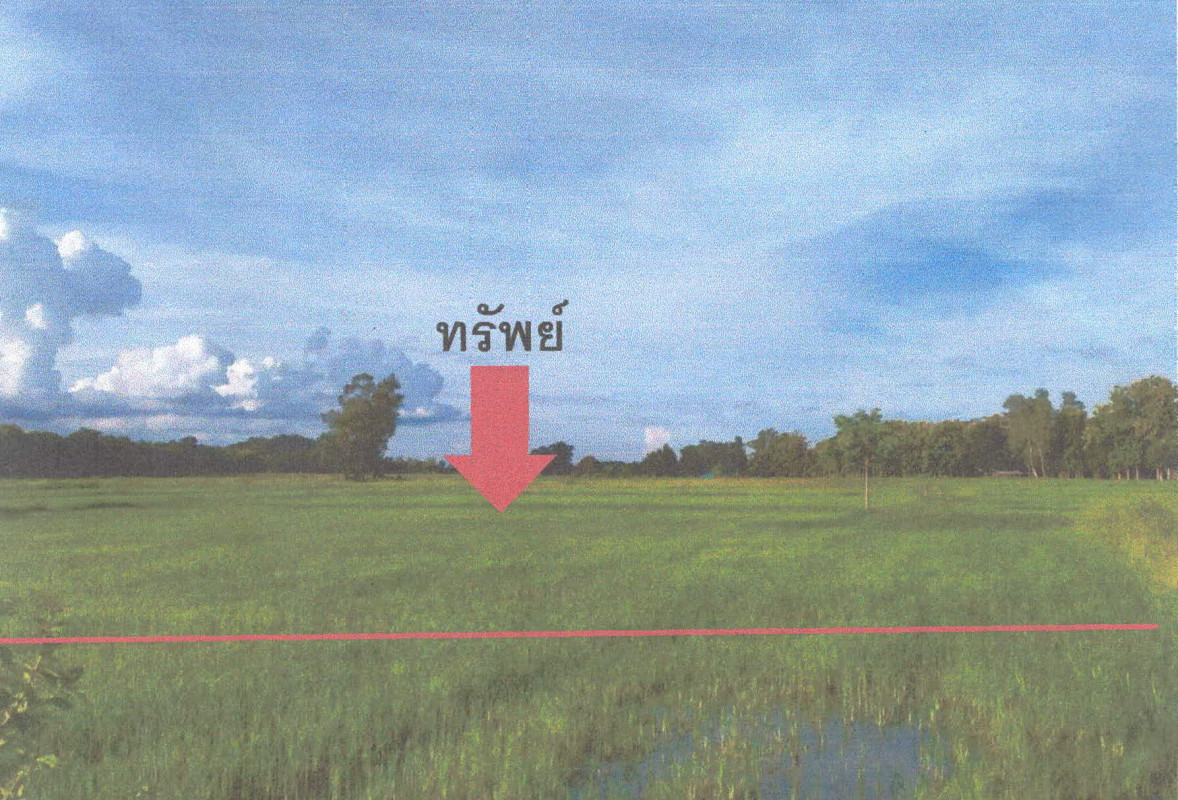 ที่ดินเปล่า ลำปาง เกาะคา ลำปางหลวง 176225