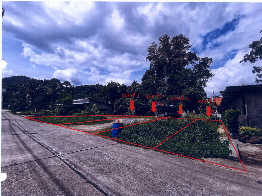 Residential land/lot Phangnga Mueang Phang-nga Tham Nam Phut 223950