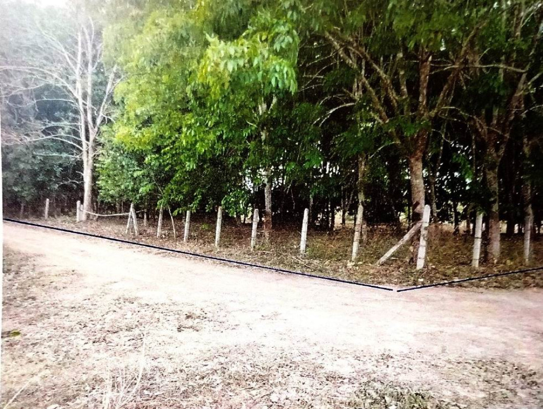 ที่ดินเปล่า เชียงราย พาน ทรายขาว 246960