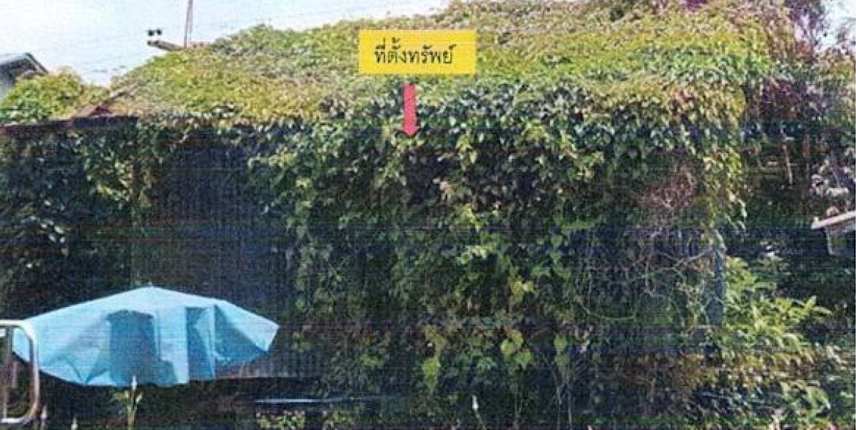 Single house Pattani Mayo Krawa 89270