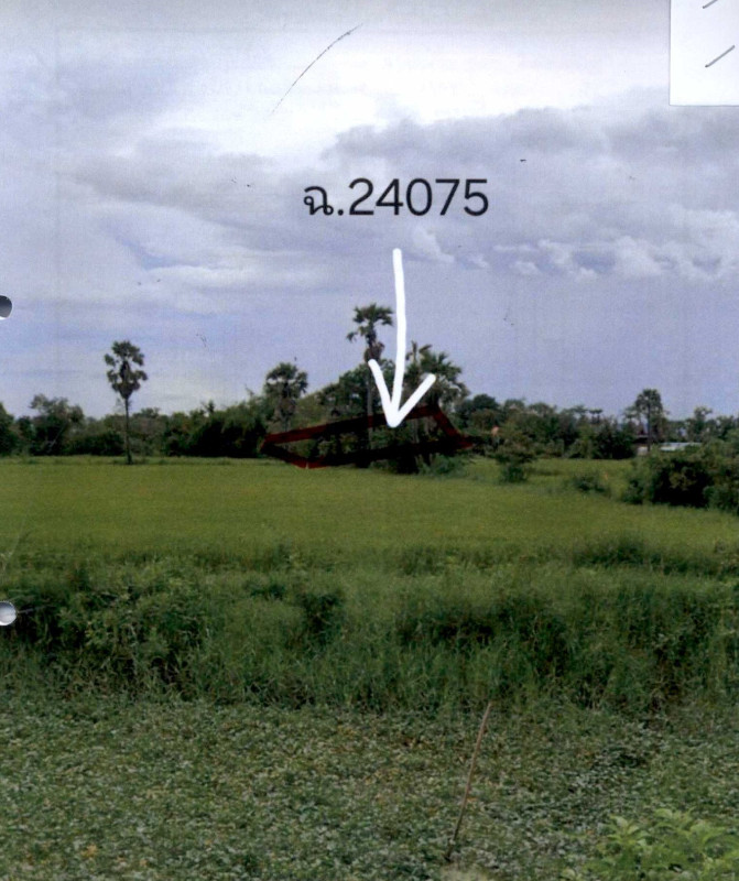 ที่ดินเปล่า เพชรบุรี บ้านลาด บ้านหาด 15800
