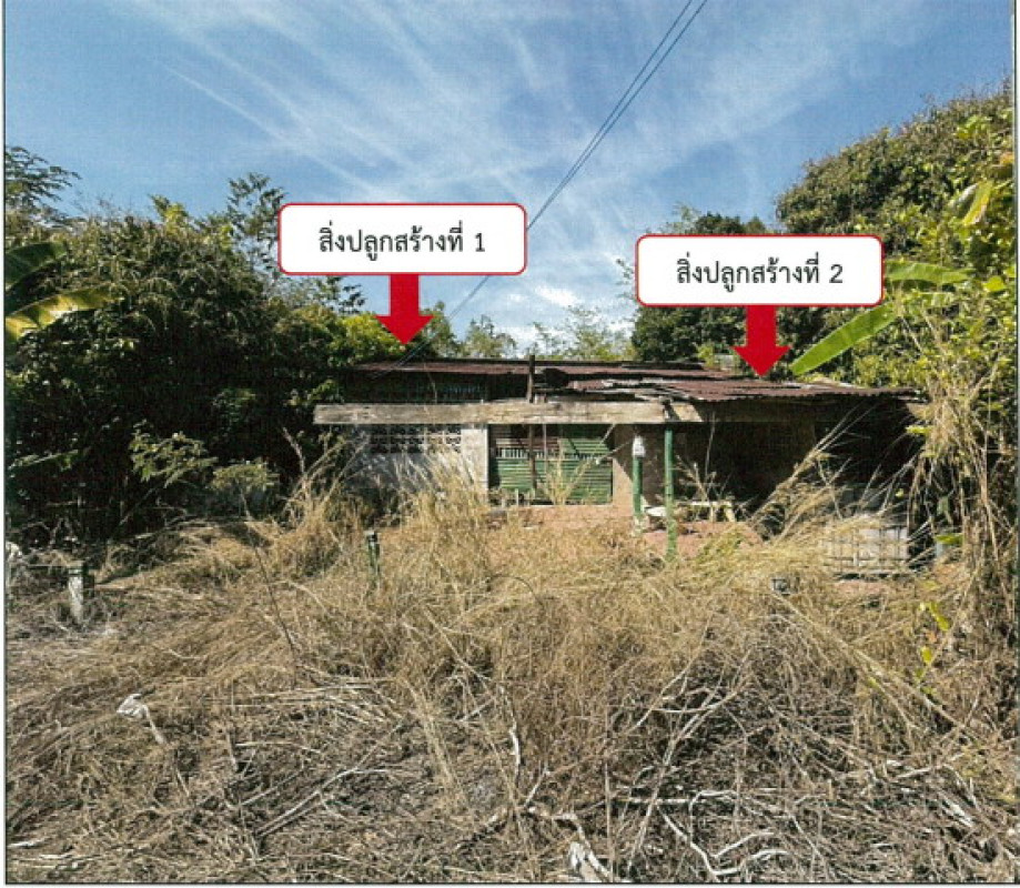 บ้านเดี่ยว พิษณุโลก เนินมะปราง บ้านน้อยซุ้มขี้เหล็ก 310482