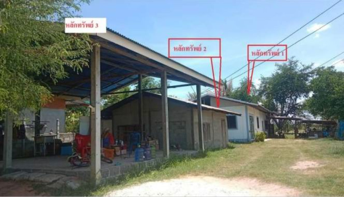 บ้านเดี่ยว นครราชสีมา ประทาย นางรำ 630000