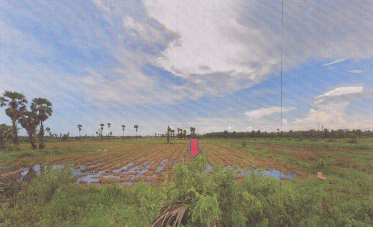 ที่ดินเปล่า สงขลา ระโนด แดนสงวน 1053180