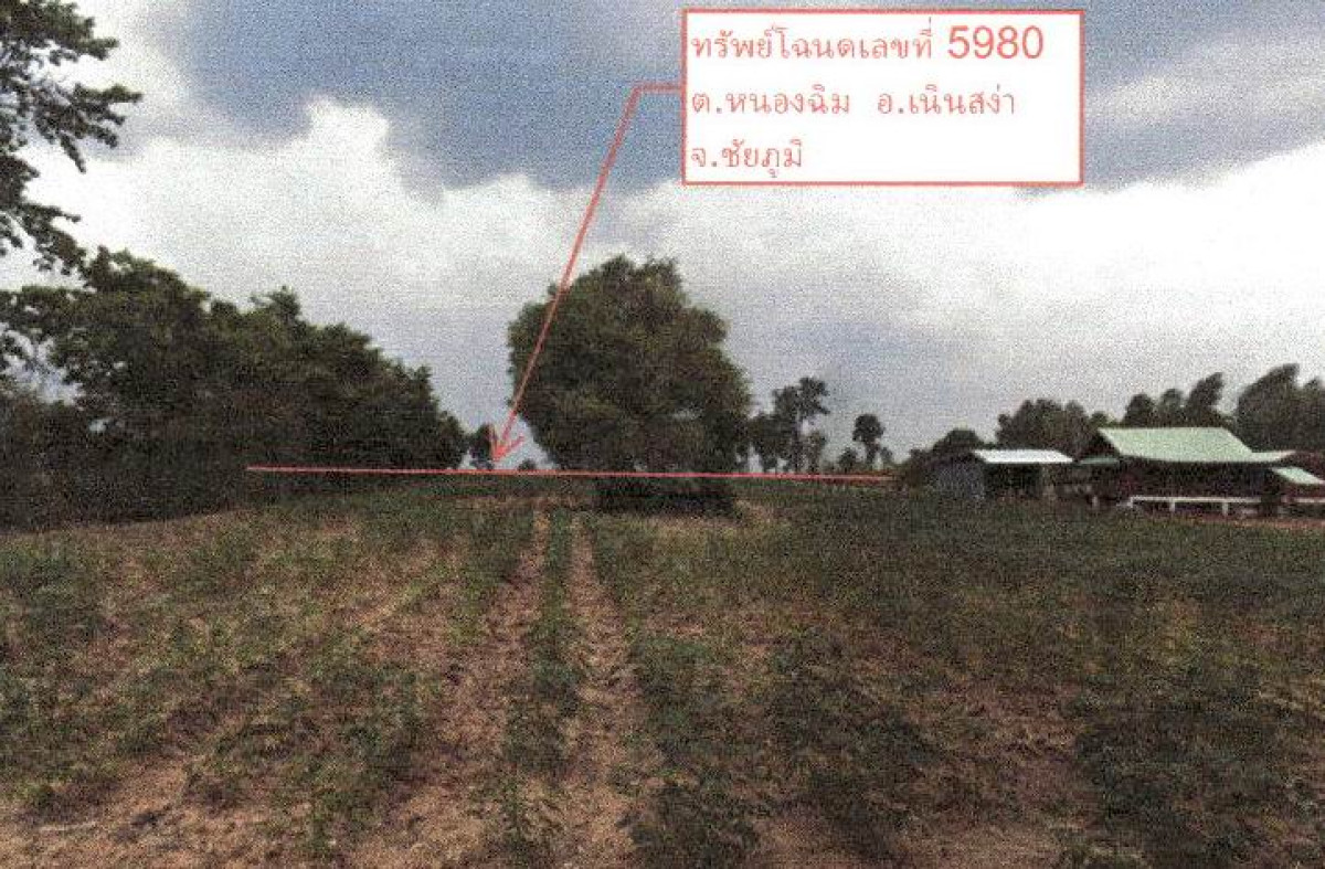 ที่ดินเปล่า ชัยภูมิ เนินสง่า หนองฉิม 151000