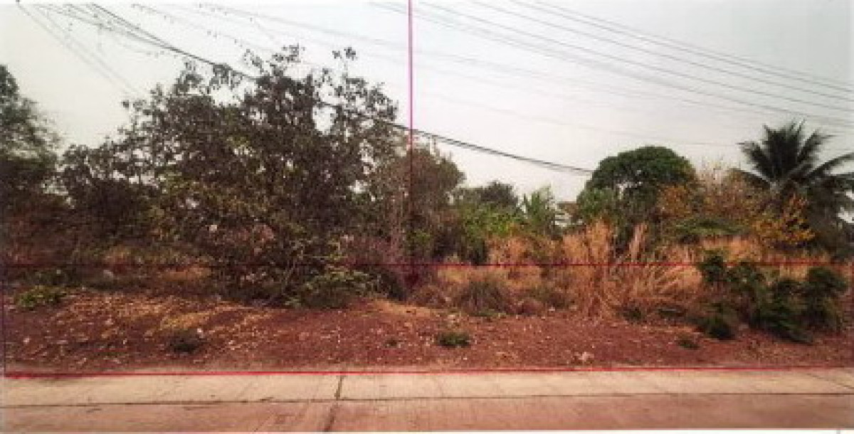 ที่ดินเปล่า พิษณุโลก วัดโบสถ์ บ้านยาง 95625