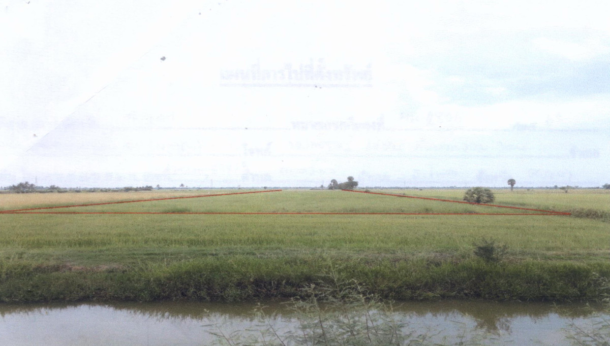 ที่ดินเปล่า สงขลา ระโนด ตะเครียะ 240000