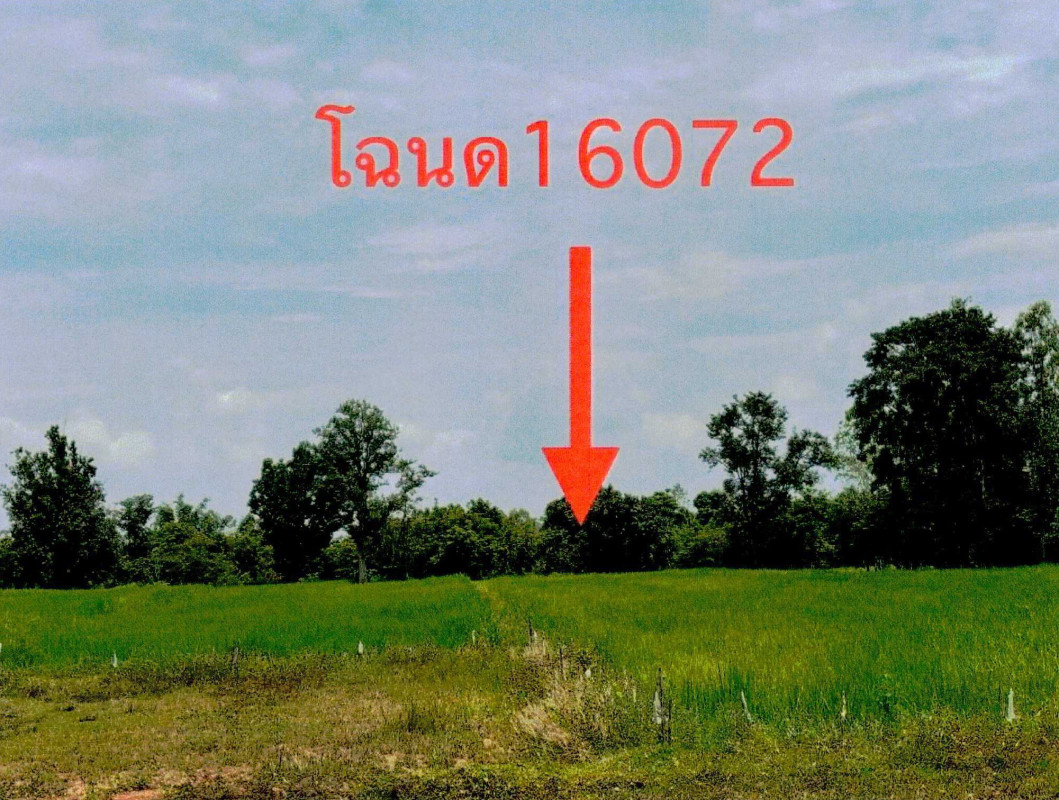 ที่ดินเปล่า หนองคาย โพนพิสัย วัดหลวง 1843400