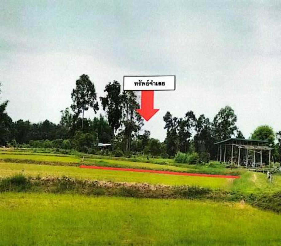 ที่ดินเปล่า กาฬสินธุ์ ยางตลาด หนองตอกแป้น 120000