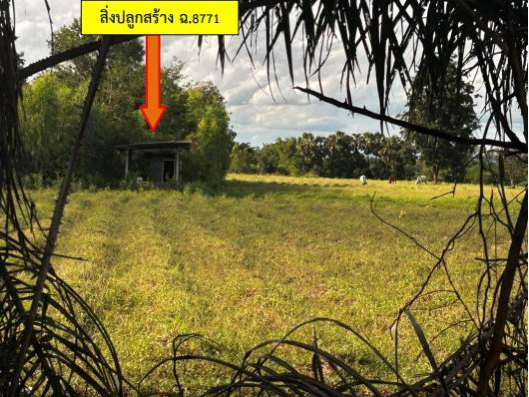 บ้านเดี่ยว กาฬสินธุ์ นามน นามน 2618000