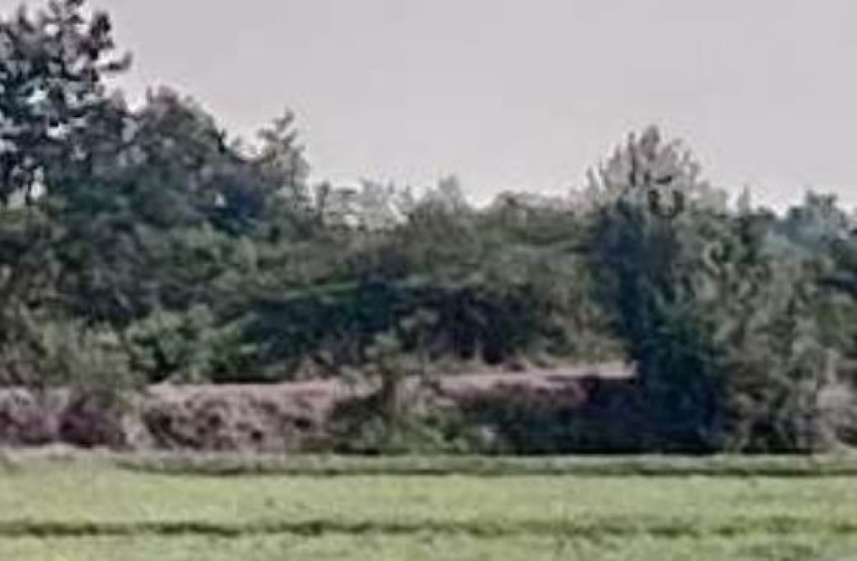 ที่ดินเปล่า ขอนแก่น หนองสองห้อง ตะกั่วป่า 113550