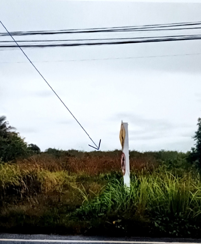 ที่ดินเปล่า นครศรีธรรมราช ทุ่งสง เขาโร 654630