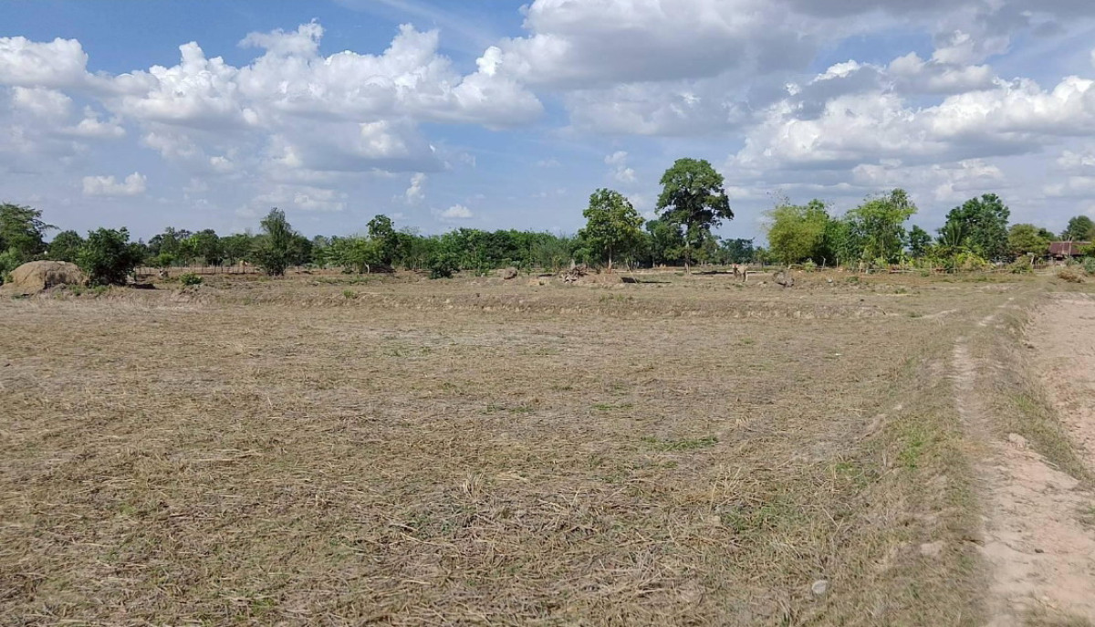 ที่ดินเปล่า สุรินทร์ สนม หัวงัว 362300