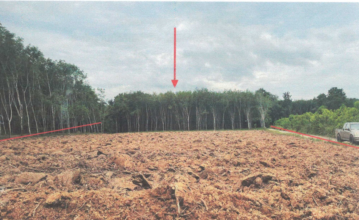 ที่ดินเปล่า นครศรีธรรมราช จุฬาภรณ์ บ้านชะอวด 827400