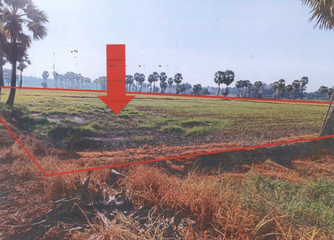 ที่ดินเปล่า นครสวรรค์ ชุมแสง ท่าไม้ 327750