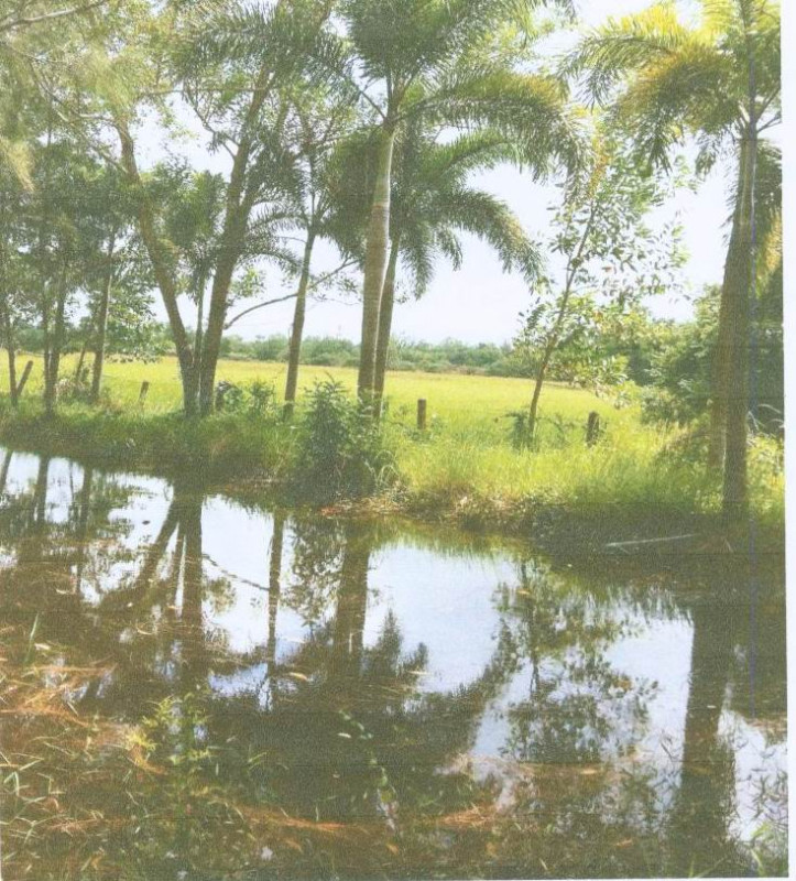 ที่ดินเปล่า นครศรีธรรมราช เมืองนครศรีธรรมราช ปากนคร 103600