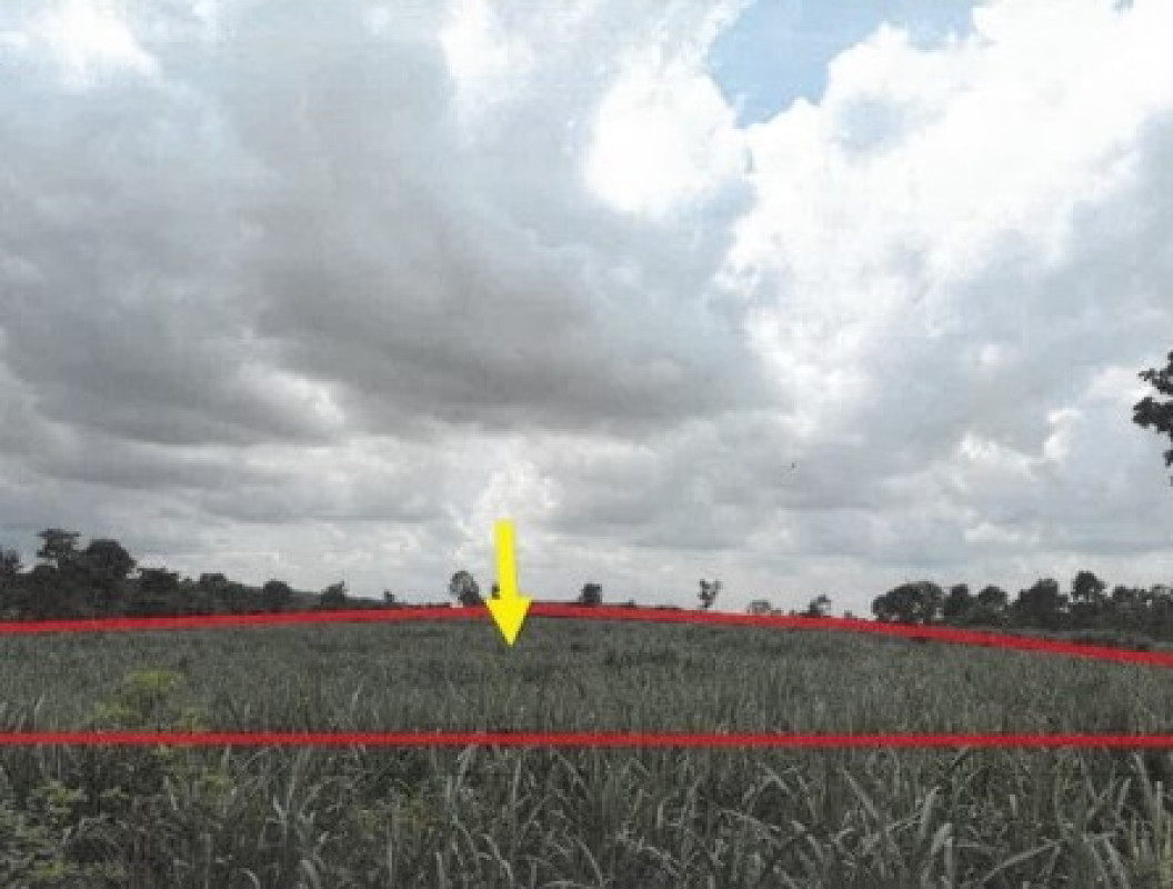 ที่ดินเปล่า กาฬสินธุ์ คำม่วง นาบอน 1238300